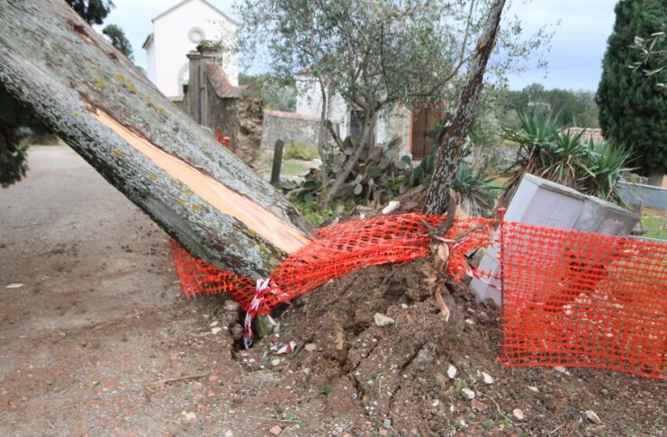 Come funzionano davvero le chiavi a cricchetto? - Il Gazzettino del Chianti  e delle colline fiorentine